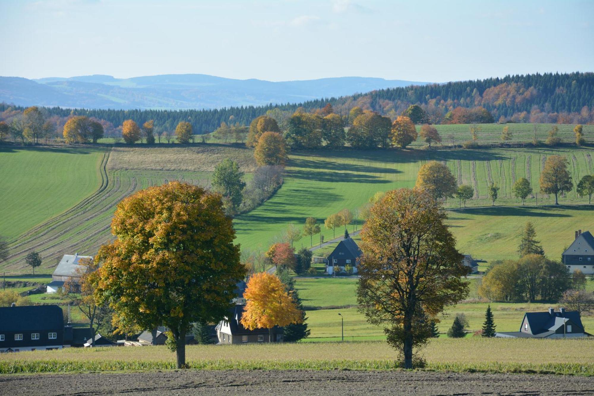 Waldgasthof Bad Einsiedel Seiffen Exterior foto