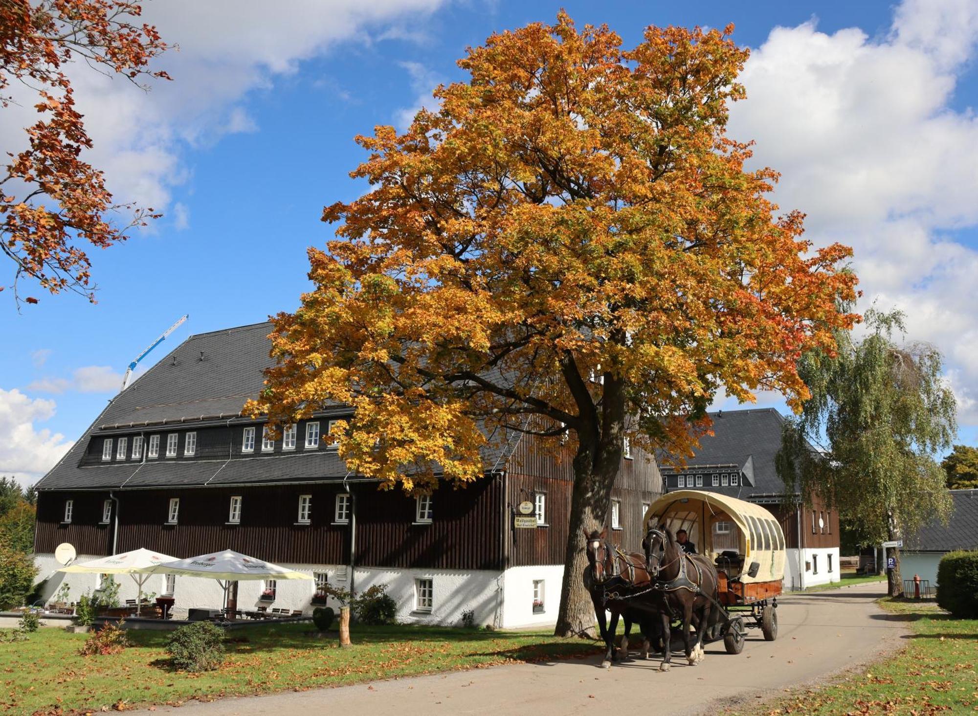Waldgasthof Bad Einsiedel Seiffen Exterior foto